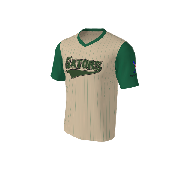 Adult Arizona Pinstripe Baseball Jersey - V Neck. (x 18)
