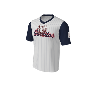 Adult Arizona Pinstripe Baseball Jersey - V Neck. (x 1)