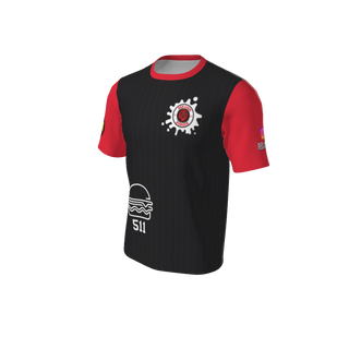 Adult Arizona Pinstripe Baseball Jersey - Crew Neck. (x 10)