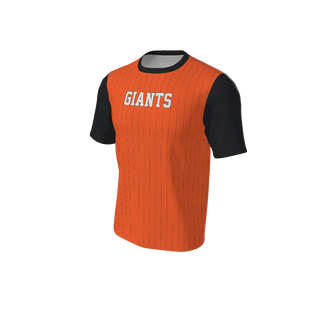 Adult Arizona Pinstripe Baseball Jersey - Crew Neck. (x 2)