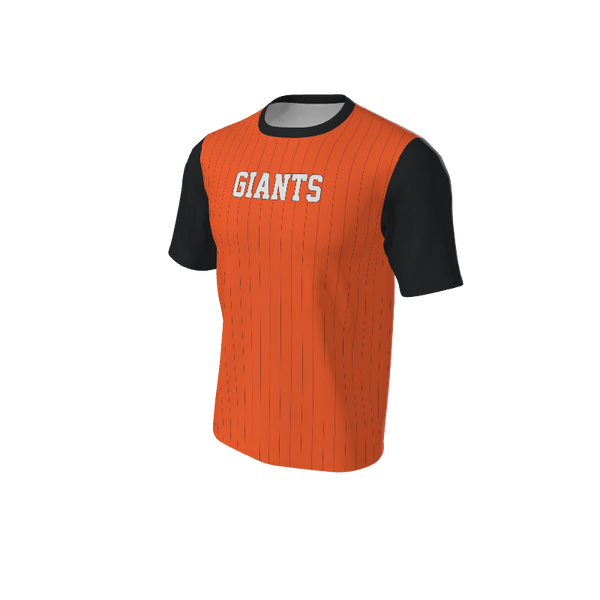 Adult Arizona Pinstripe Baseball Jersey - Crew Neck. (x 2)