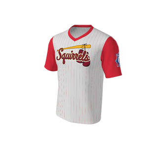 Adult Arizona Pinstripe Baseball Jersey - V Neck. (x 1)