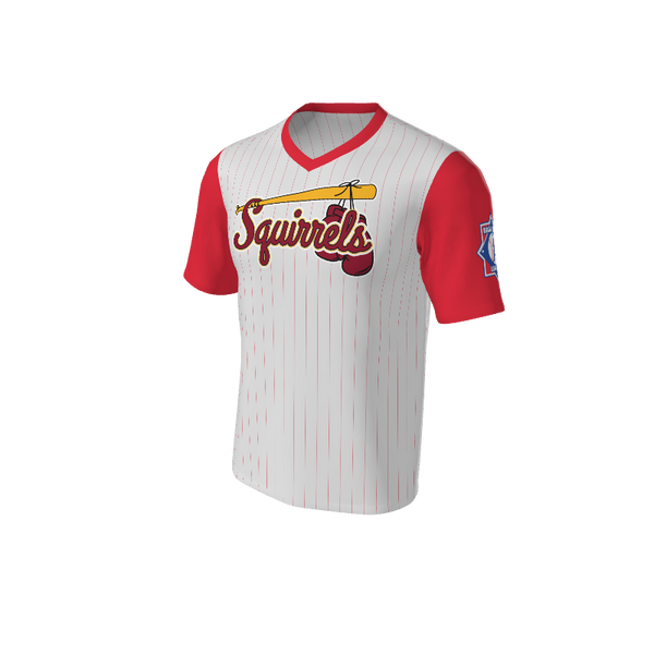 Adult Arizona Pinstripe Baseball Jersey - V Neck. (x 1)