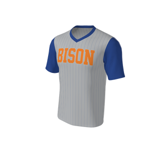 Adult Arizona Pinstripe Baseball Jersey - V Neck. (x 4)