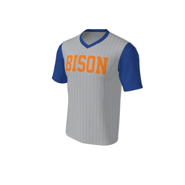 Adult Arizona Pinstripe Baseball Jersey - V Neck. (x 4)