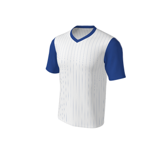 Adult Arizona Pinstripe Baseball Jersey - V Neck. (x 1)