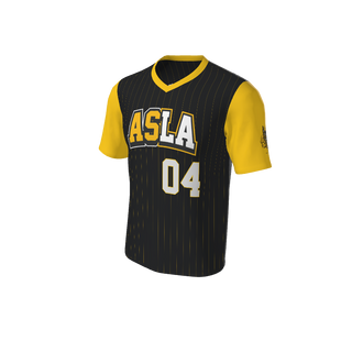 Adult Arizona Pinstripe Baseball Jersey - V Neck. (x 73)