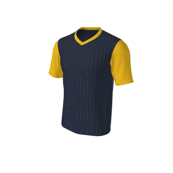 Adult Arizona Pinstripe Baseball Jersey - V Neck. (x 1)