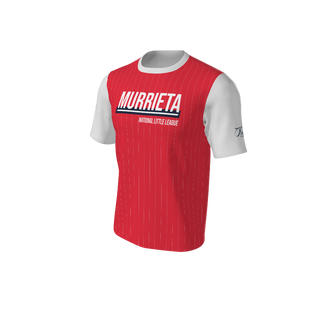 Adult Arizona Pinstripe Baseball Jersey - Crew Neck. (x 2)