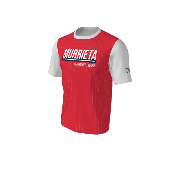 Adult Arizona Pinstripe Baseball Jersey - Crew Neck. (x 2)