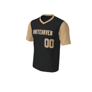 Adult Arizona Pinstripe Baseball Jersey - V Neck. (x 1)