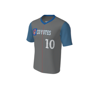 Adult Arizona Pinstripe Baseball Jersey - V Neck. (x 16)