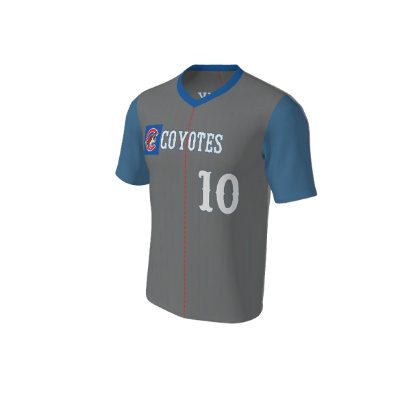 Adult Arizona Pinstripe Baseball Jersey - V Neck. (x 16)