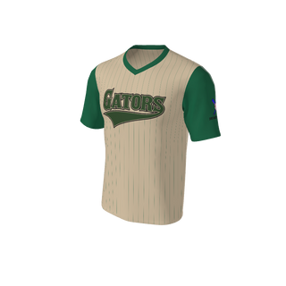 Adult Arizona Pinstripe Baseball Jersey - V Neck. (x 18)