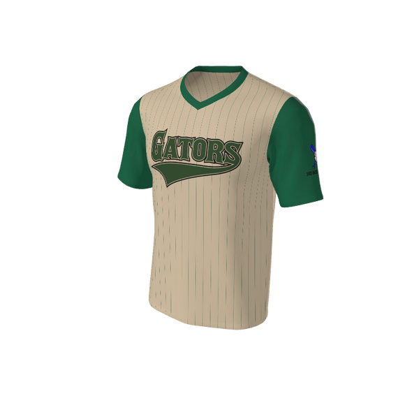 Adult Arizona Pinstripe Baseball Jersey - V Neck. (x 18)