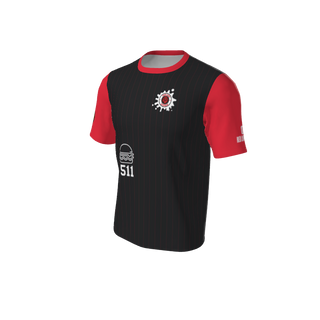Adult Arizona Pinstripe Baseball Jersey - Crew Neck. (x 10)