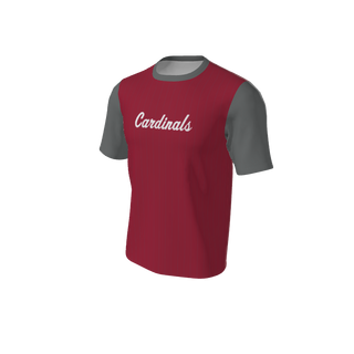 Adult Arizona Pinstripe Baseball Jersey - Crew Neck. (x 18)