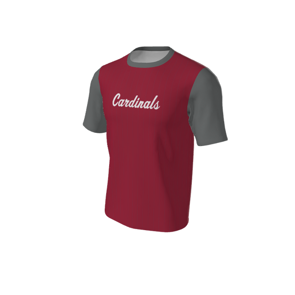 Adult Arizona Pinstripe Baseball Jersey - Crew Neck. (x 18)