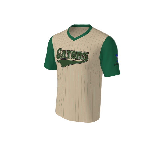 Adult Arizona Pinstripe Baseball Jersey - V Neck. (x 18)